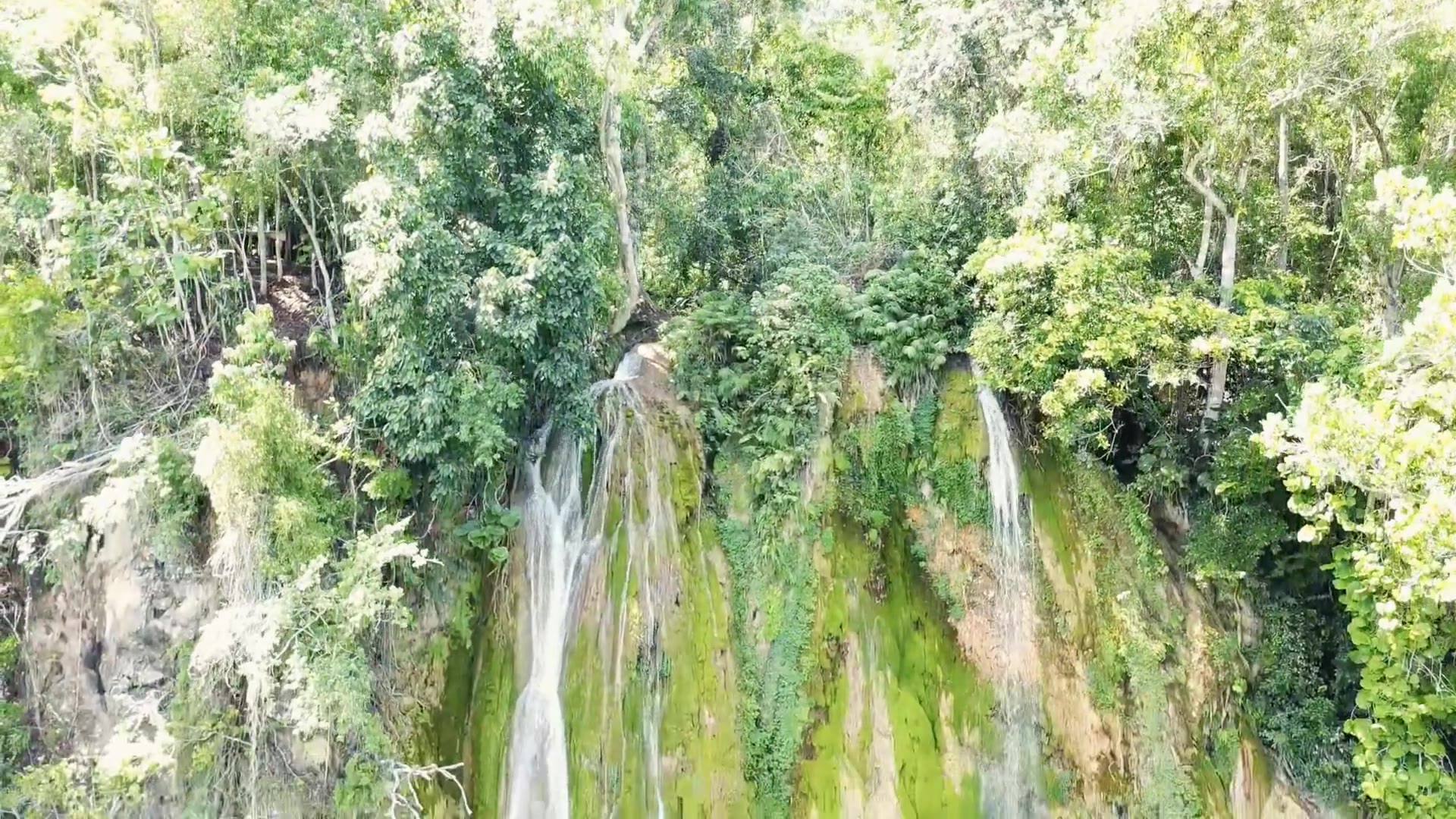 Salto del Limón in Samaná